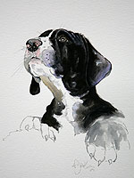 Great Dane pup watercolour portrait